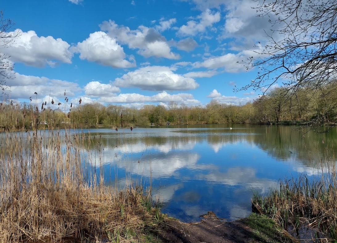 m lodge manchester perch fishinh pond m lodge manchester perch fishinh pond